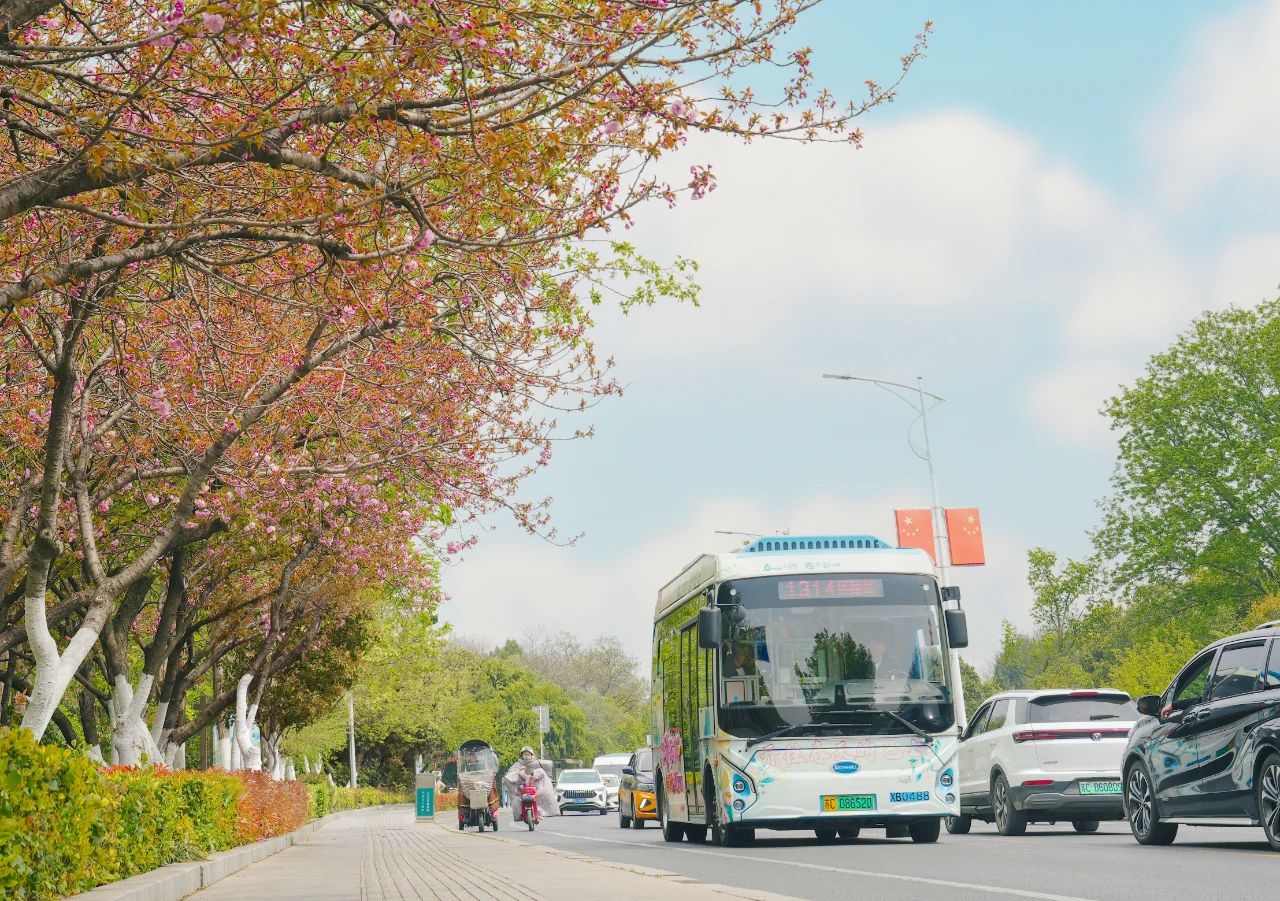 清明踏春行，徐州公交精心護(hù)航市民出行